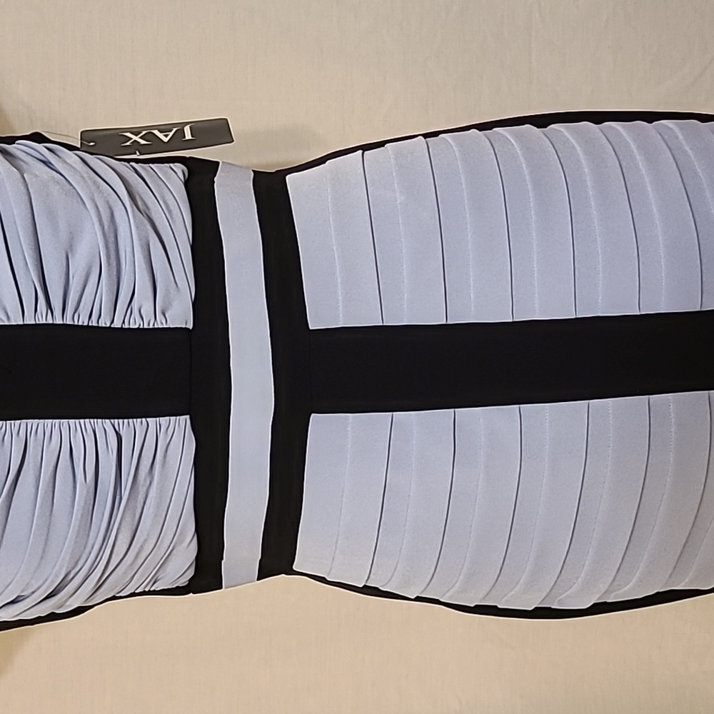 Jax Light Blue and Black Sheath Dress - Picture 7 of 15